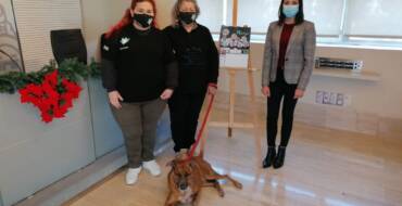 Bienestar Animal respalda la iniciativa de Huellas Salvadas de lanzar un calendario solidario para promover la adopción y el cuidado de mascotas