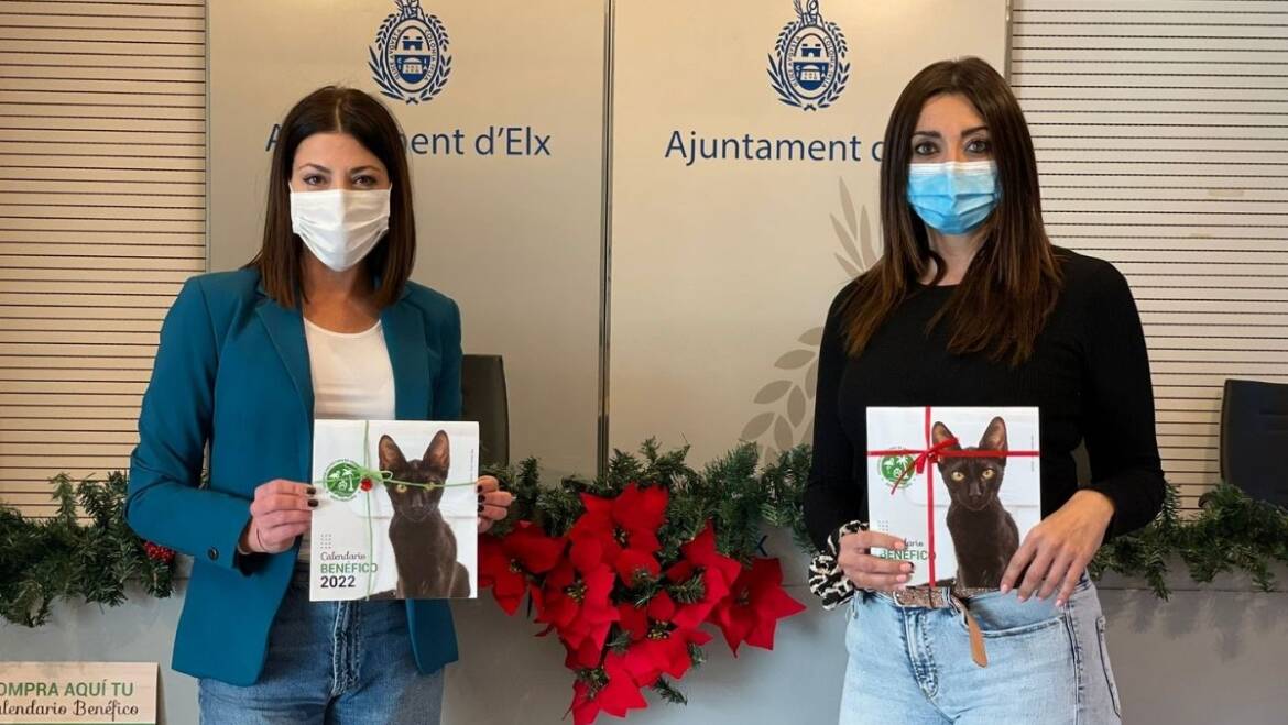 El Ayuntamiento de Elche renueva su compromiso con la Protectora Baix Vinalopó apoyando el lanzamiento del tradicional calendario benéfico para concienciar del cuidado animal