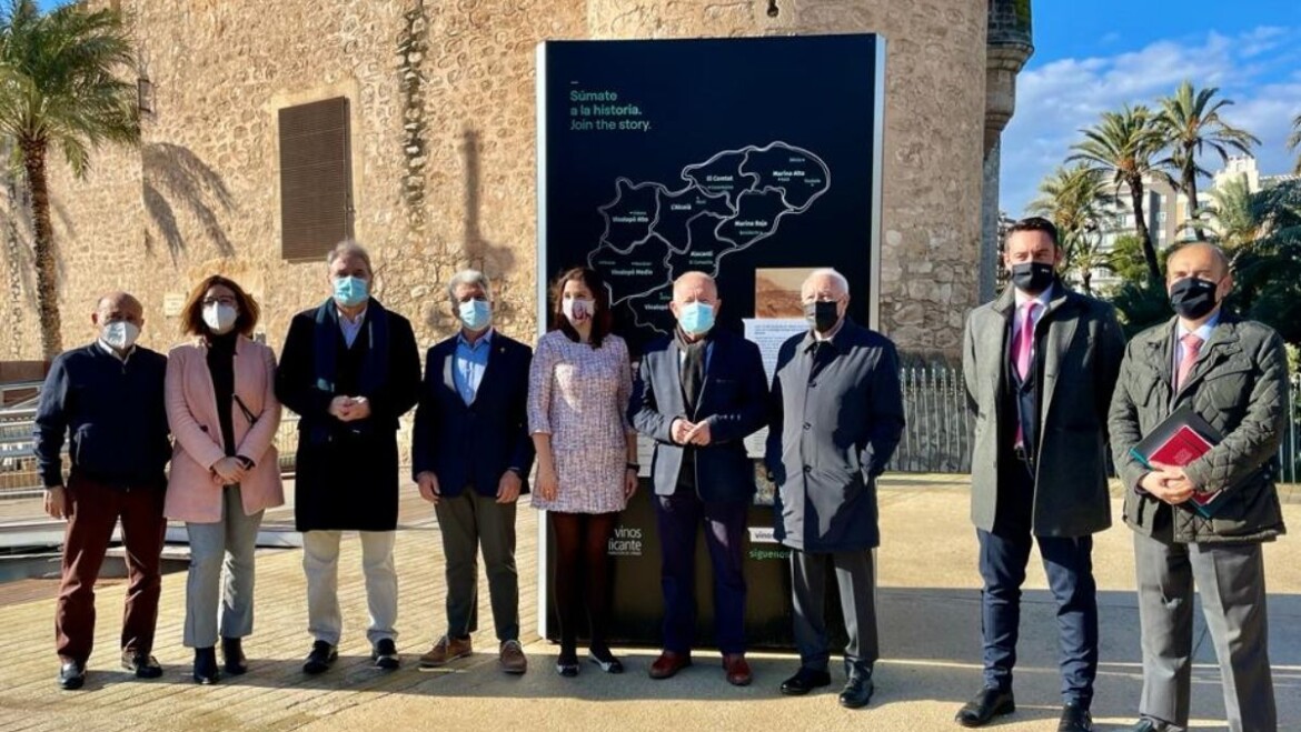 Una exposición junto al Palacio de Altamira recoge la historia de 3.000 años de cultura del vino en Alicante