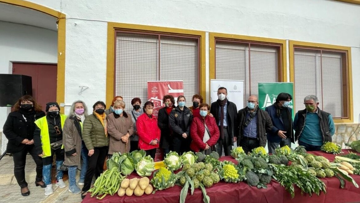Comienza la campaña de hortalizas de invierno en el Camp d’Elx con una producción de más de 20 millones de kilos