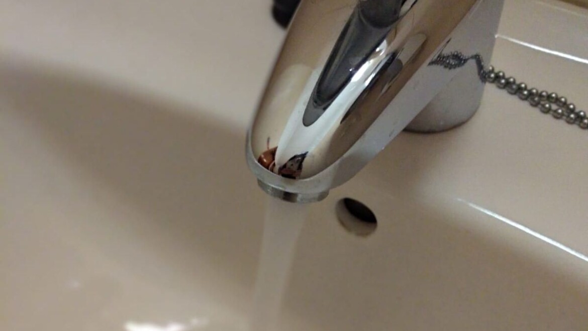 El alcalde anuncia que la exención del canon de saneamiento de aguas en los próximos seis meses supondrá un ahorro de más de cinco millones de euros para las familias ilicitanas