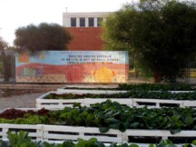 CEIP-RAMON-LLULL-Huerto-ow