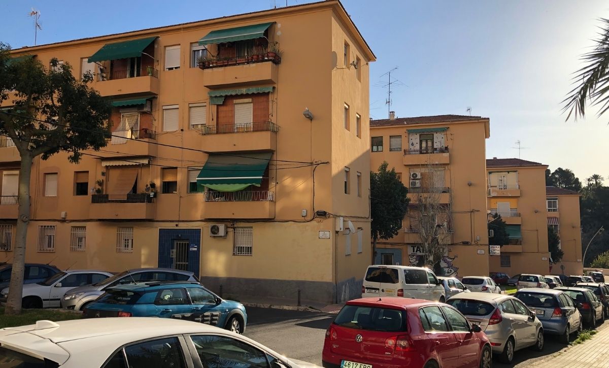 Comienzan los estudios geotérmicos en Porfirio Pascual (14)