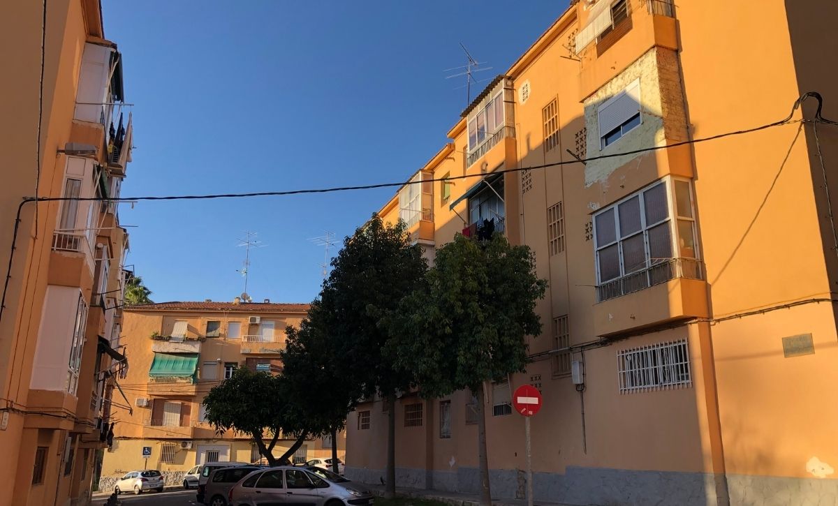 Comienzan los estudios geotérmicos en Porfirio Pascual (2)