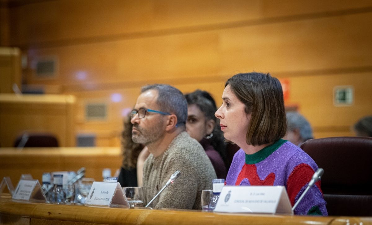 Jornadas en Senado sobre movilidad urbana Esther Díez (2)
