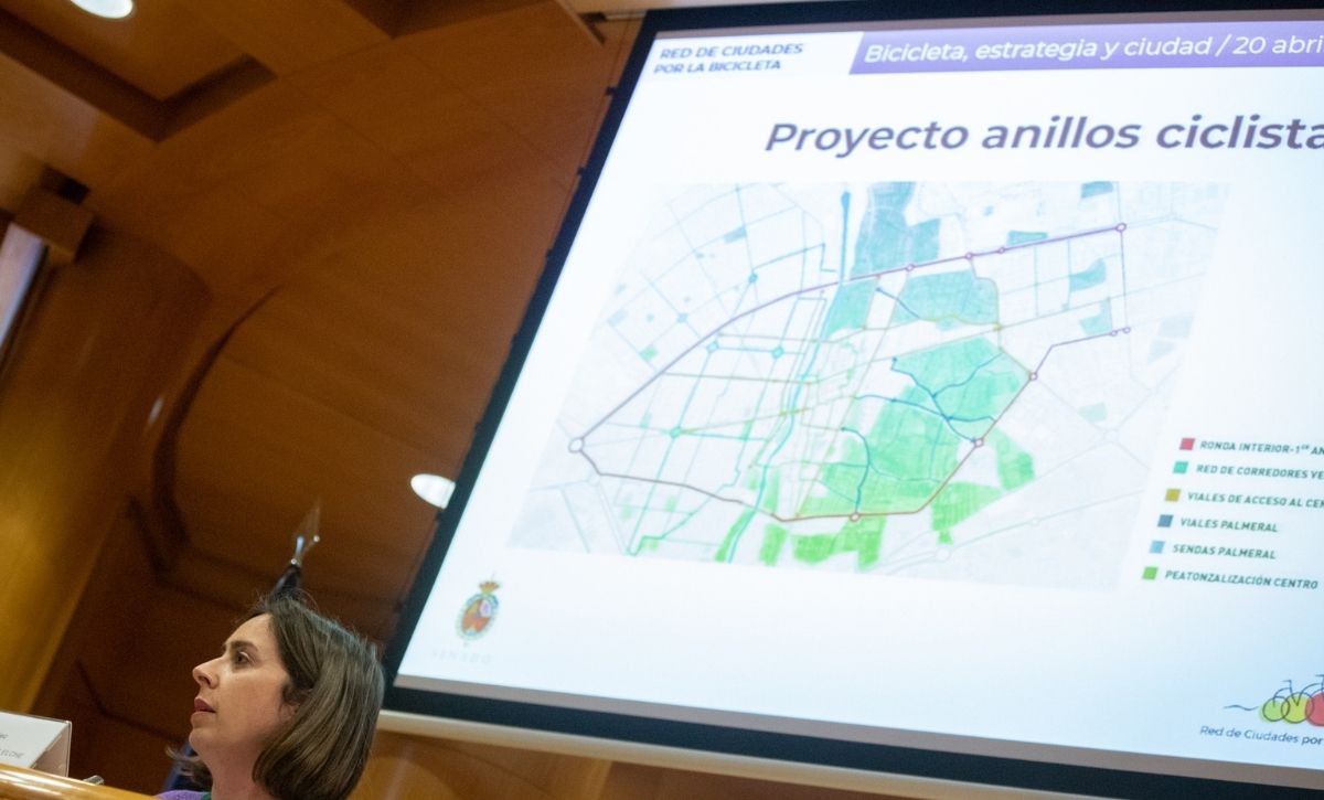 Jornadas en Senado sobre movilidad urbana Esther Díez (4)