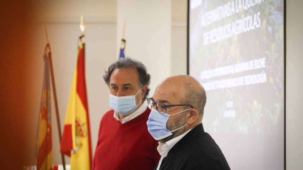 Desarrollo Rural y Conselleria colaboran en unas jornadas sobre el cultivo sostenible de la palmera