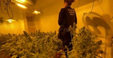 La Policía Local de Elche detiene a dos personas por un presunto delito contra la salud pública