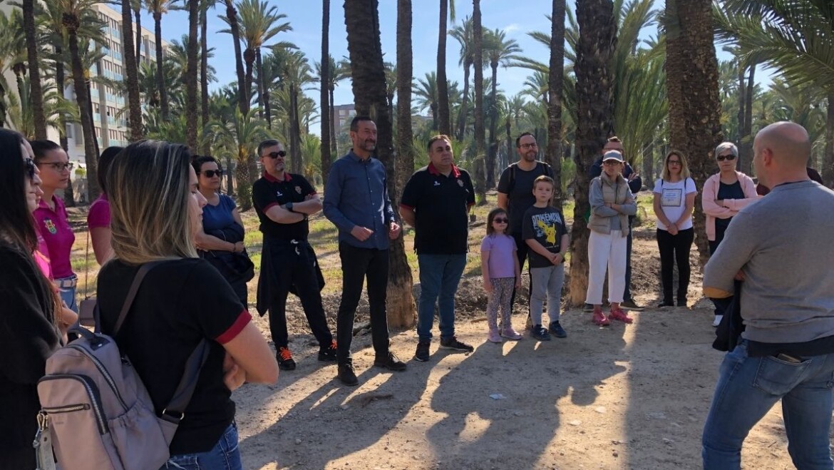 Las jornadas de repoblación del Palmeral Histórico de Elche arrancan con la plantación de 185 ejemplares
