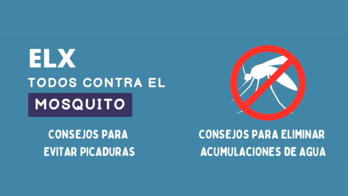 L’Ajuntament d’Elx i l’empresa CTL inicien una campanya de conscienciació per a atallar la proliferació de mosquits.