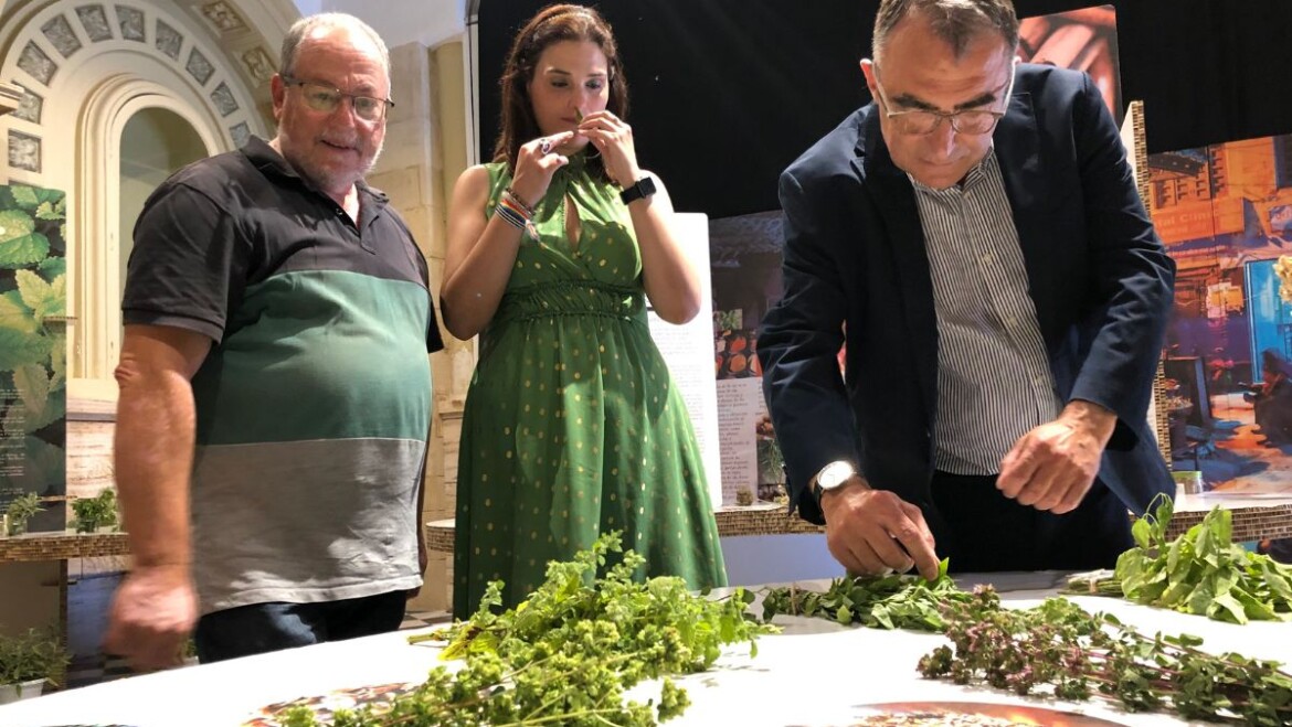 La Sala Clarisas acoge una exposición sobre la importancia gastronómica y cultural de las especias a lo largo de la historia