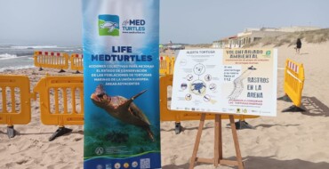 La Concejalía de Medio Ambiente presenta junto a Ecologistas en Acción una campaña para la detección de posibles anidamientos de tortugas bobas