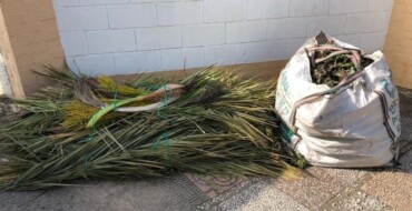 Els agricultors podran cremar restolls i residus agrícoles