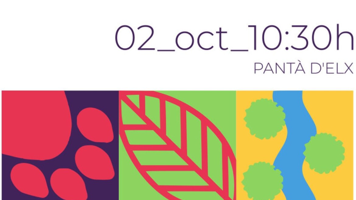 Medi Ambient i la Fundació Limne posen en marxa una jornada de voluntariat per a estudiar la qualitat de les aigües del Pantà d’Elx