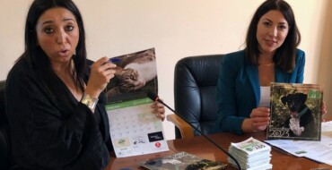 El Ayuntamiento y la Protectora Baix Vinalopó presentan la I Jornada de Bienestar Animal