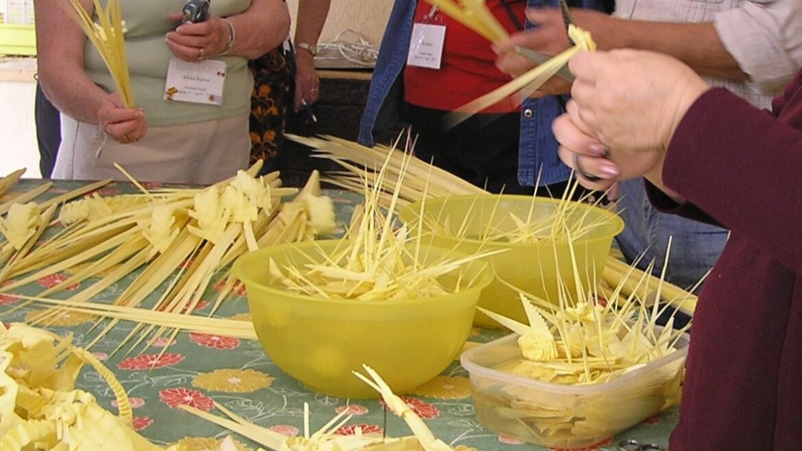 El Museo del Palmeral acoge el Taller de Palma Blanca desde el 1 de diciembre de 2022 hasta el 16 de mayo de 2023