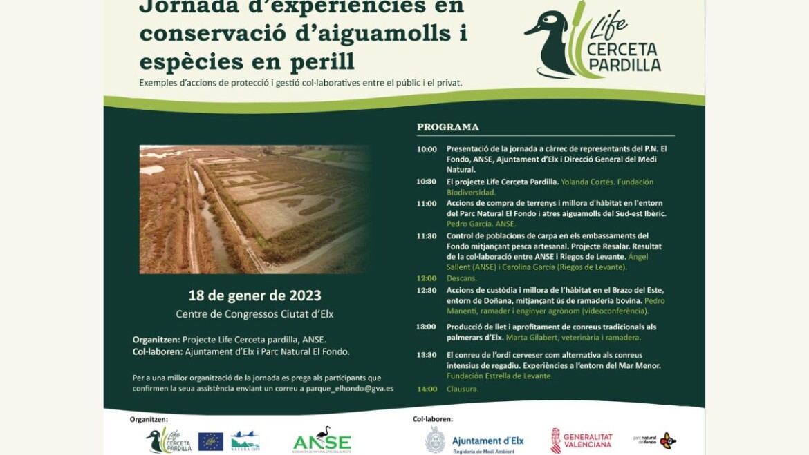 Elx acull una jornada sobre regeneració d’aiguamolls i espècies en perill