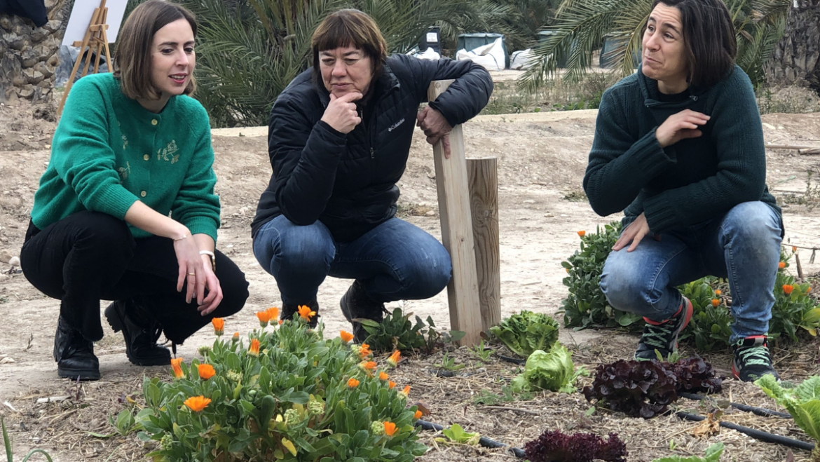 Medio Ambiente invertirá 249.277 euros en la ampliación del Huerto Urbano de Felip y pondrá a disposición de los vecinos 6.200 metros cuadrados más de terreno para el cultivo ecológico