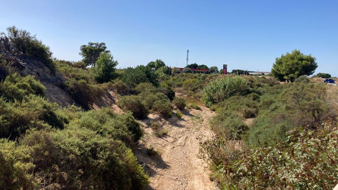La Concejalía de Medio Ambiente organiza una jornada de limpieza de los senderos Barrancos del Grifo y de San Antón