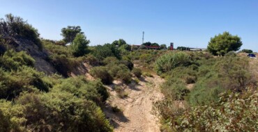 La Concejalía de Medio Ambiente organiza una jornada de limpieza de los senderos Barrancos del Grifo y de San Antón