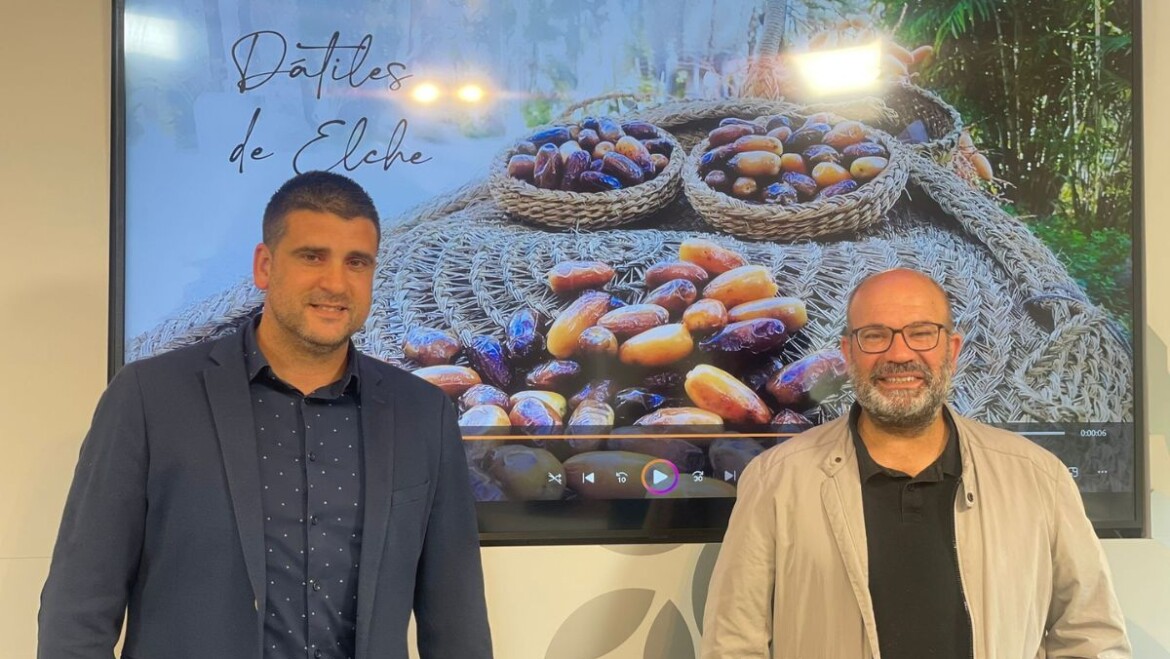 La concejalía de Desarrollo Rural y la Asociación de Productores de Dátiles impulsan una campaña informativa para fomentar el consumo del fruto y concienciar sobre las ventajas de su consumo