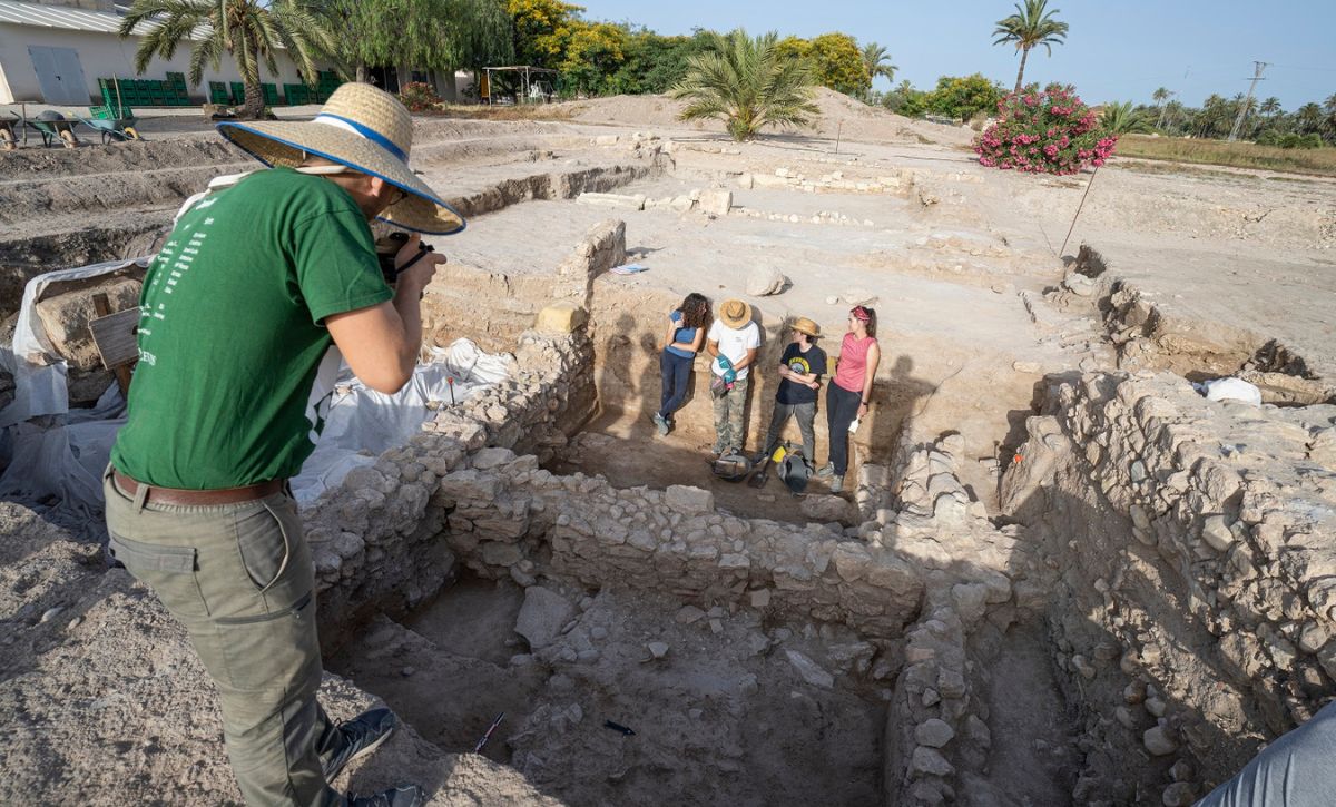 EXCAVACIONES LA ALCUDIA (3)