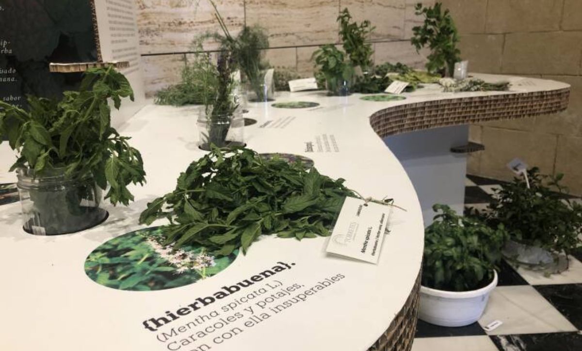 Agenda Cultural del 10 al 16 de julio Agenda Cultural del 10 al 16 de julio