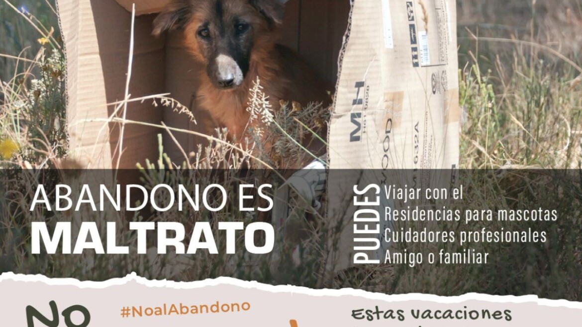 El Ayuntamiento lanza una campaña en contra del abandono animal en época estival