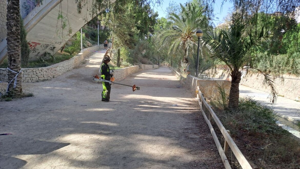 Les brigades municipals fan treballs de desbrossament del vessant per a evitar incendis en la Nit de l’Albà