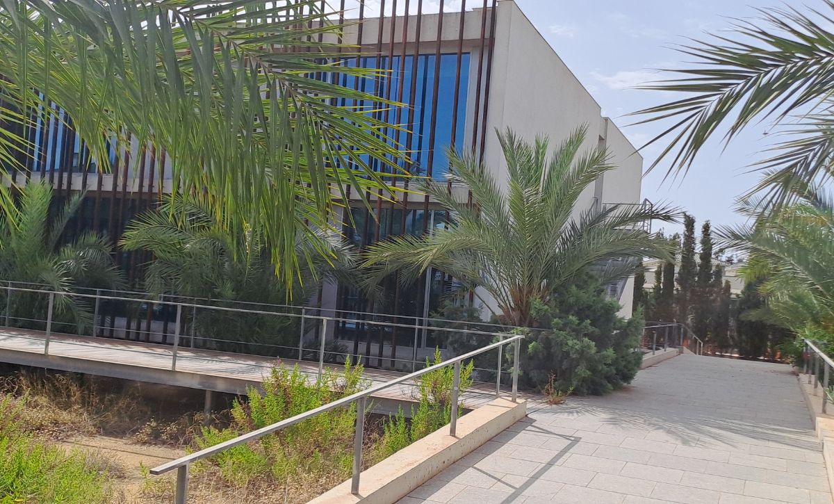 fundación salud infantil (6)
