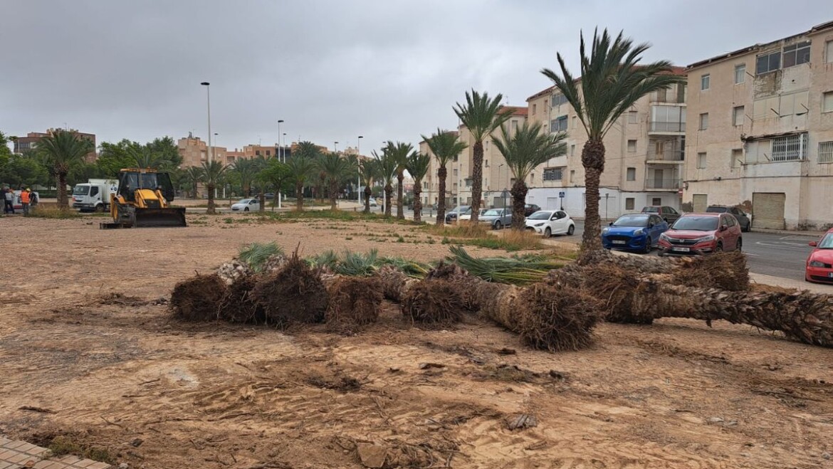 Adecuación de la parcela para el nuevo Centro Social de San Antón