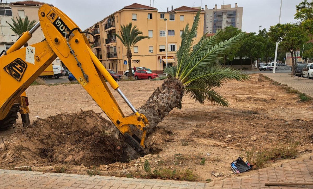 Parcelas en San Antón (2)