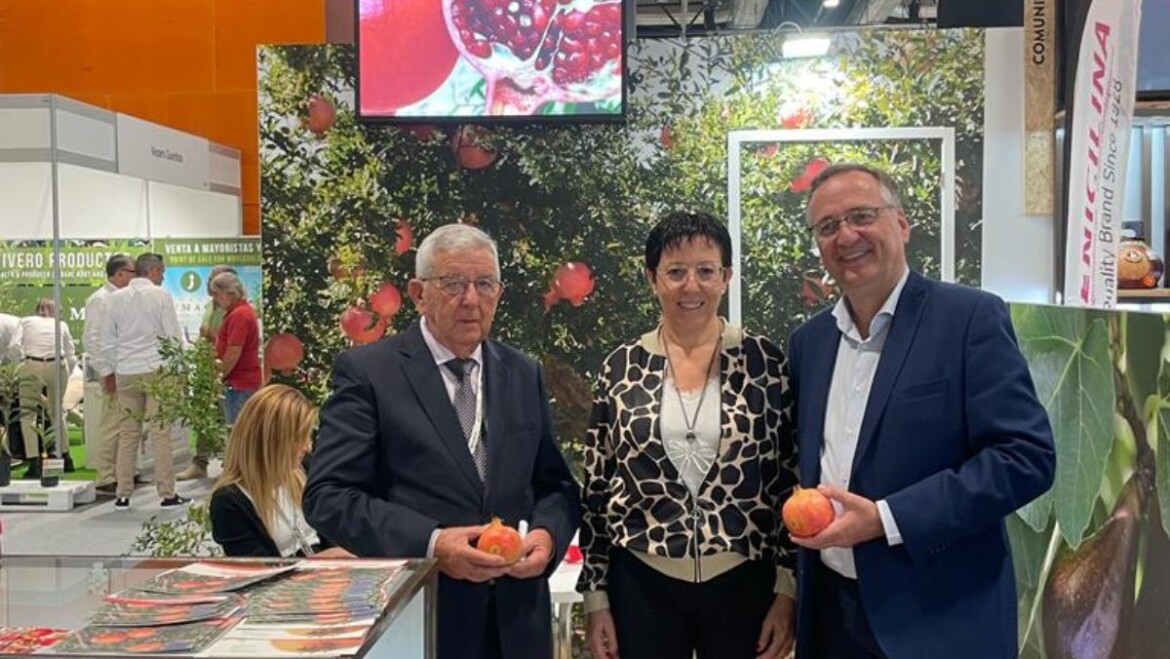 El Ayuntamiento muestra su apoyo a las firmas ilicitanas en la feria Fruit Attraction