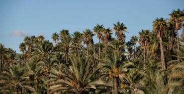 Elche seleccionada en un proyecto europeo para la recuperación del patrimonio hidráulico