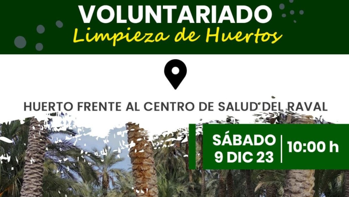 El Ayuntamiento organiza batidas de limpieza en los huertos de palmeras