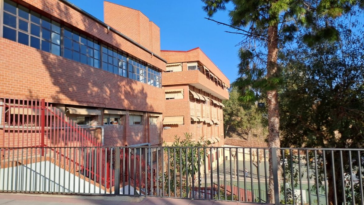 El Ayuntamiento retirará 93 palmeras de centros educativos para garantizar la seguridad del alumnado