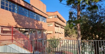 El Ayuntamiento retirará 93 palmeras de centros educativos para garantizar la seguridad del alumnado