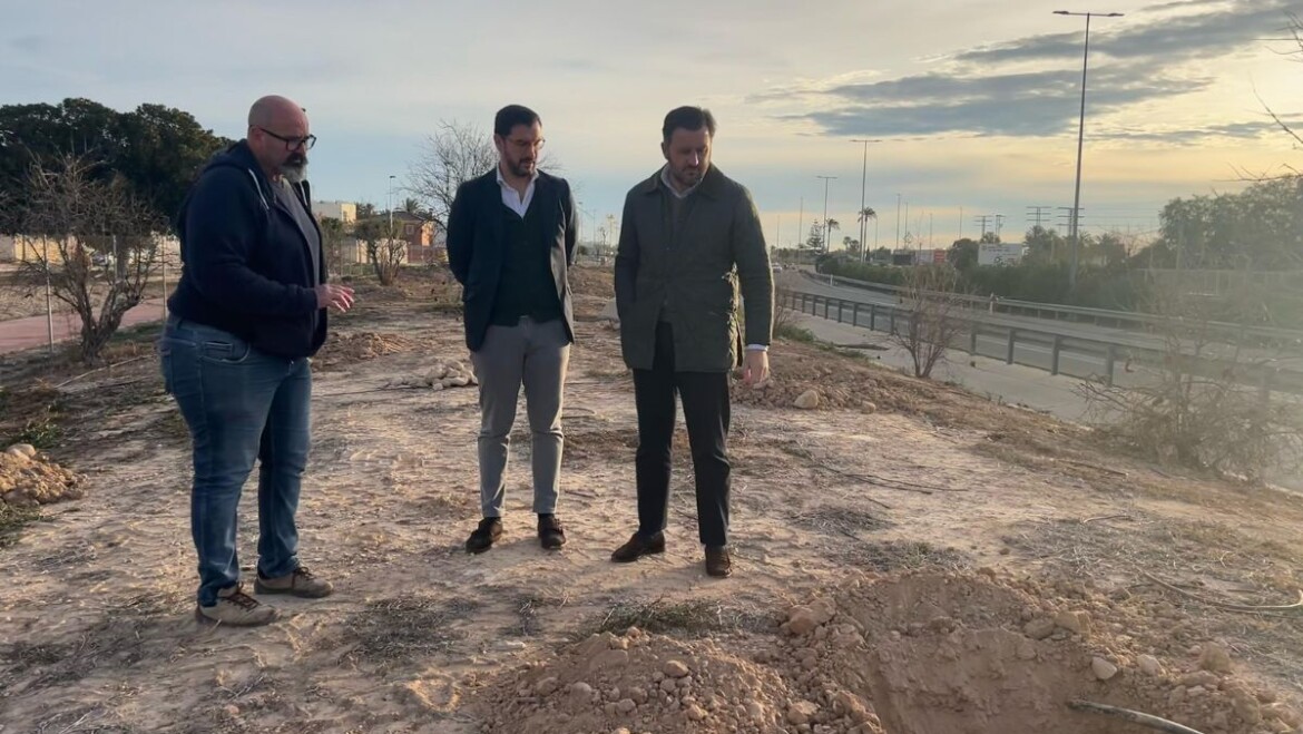 El Ayuntamiento continúa con las actuaciones del plan Elx Natura con la replantación de árboles en la Ronda Sur