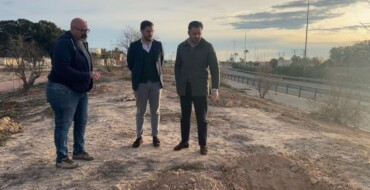 El Ayuntamiento continúa con las actuaciones del plan Elx Natura con la replantación de árboles en la Ronda Sur