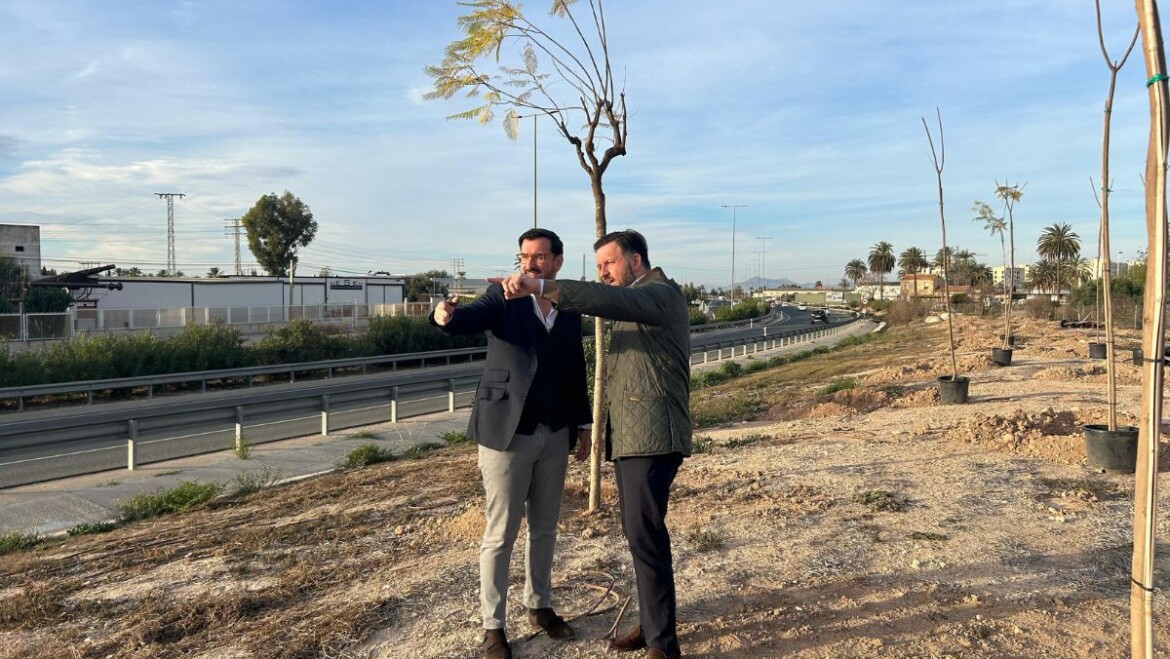 Elche exige una reunión con el ministro de transportes y el pago de las expropiaciones de la Ronda Sur/EL-20