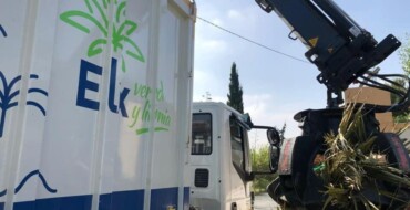 El servicio de recogida de poda puerta a puerta en el Camp d’Elx duplica la cantidad de residuos en 2023