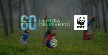 Elche se suma el sábado 23 de marzo a la ‘Hora del Planeta’