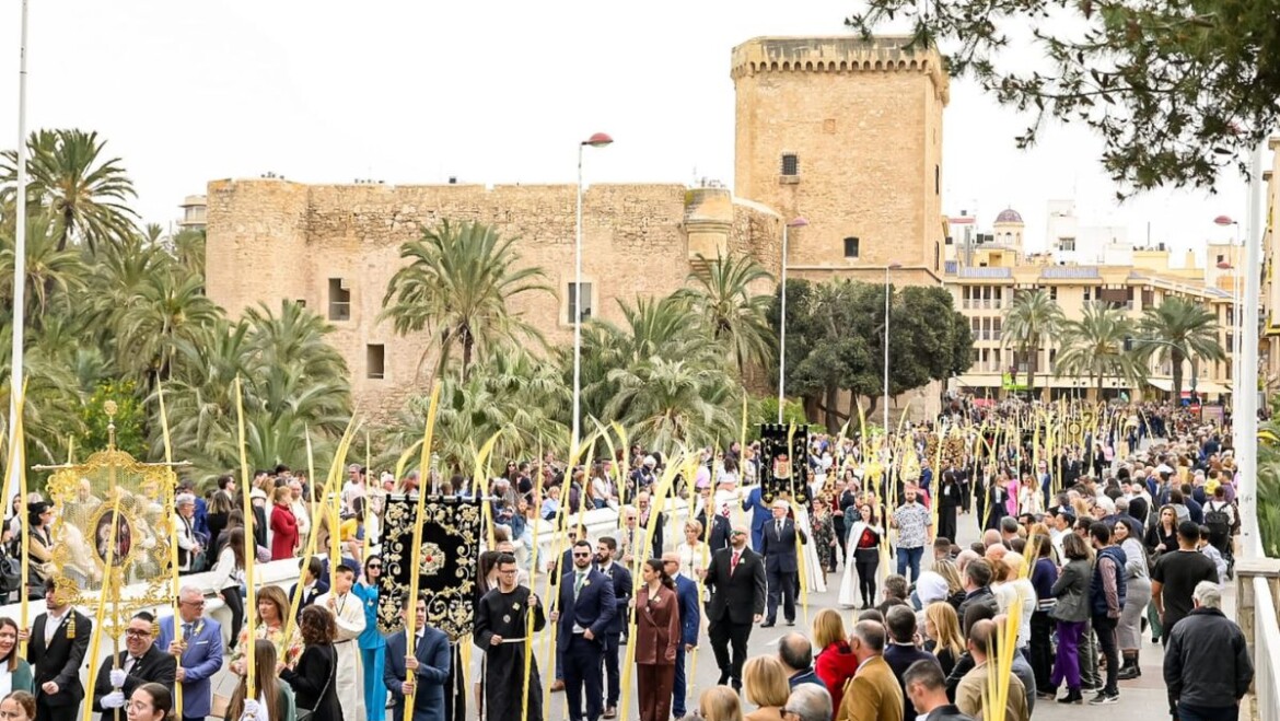 Més de 65.000 il·licitans celebren el Diumenge de Rams amb les tradicionals palmes blanques
