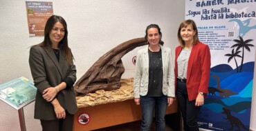 Las bibliotecas de Elche se suman al 20 aniversario del MUPE