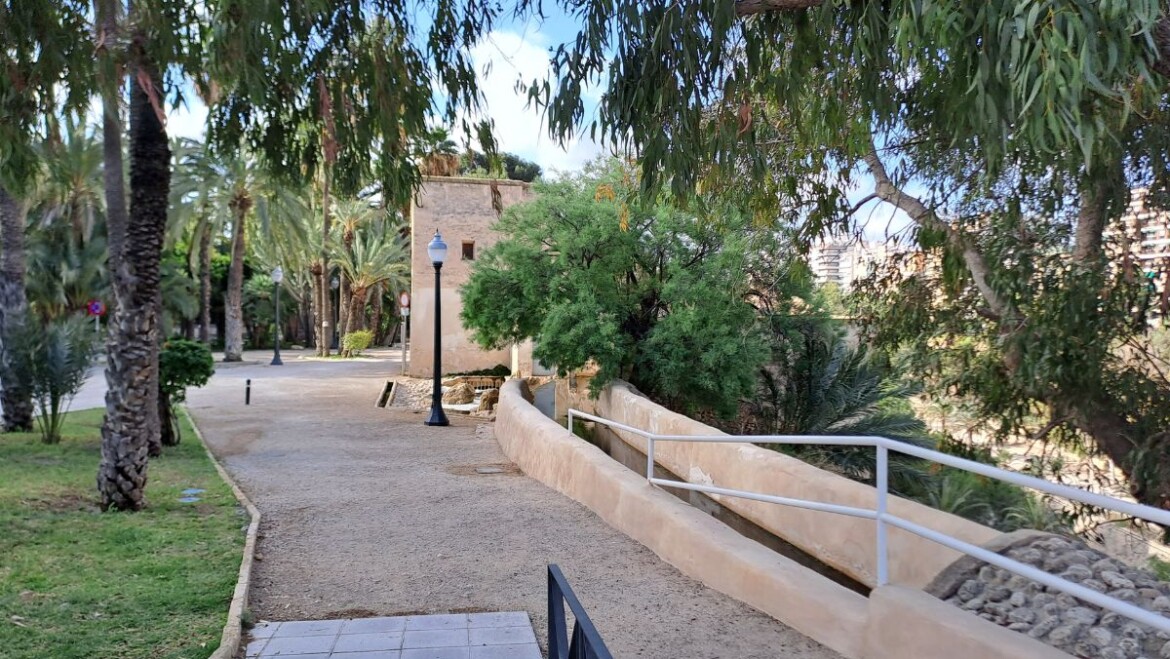 El riego con agua regenerada llegará a los huertos de palmeras a comienzos de 2025