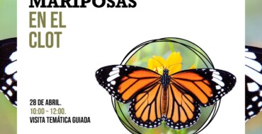 El Clot de Galvany presenta la jornada “Mariposas en el Clot”