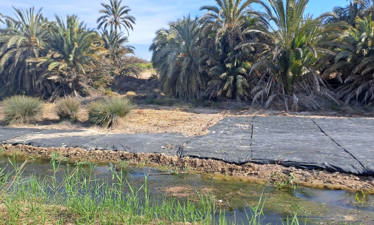 Obras en Río Vinalopó (11)
