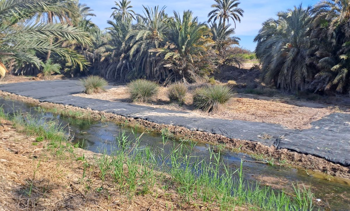 Obras en Río Vinalopó (12)