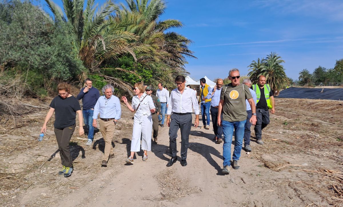 Obras en Río Vinalopó (4)