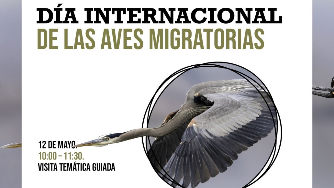 El Clot de Galvany organiza una visita temática guiada por el Día Internacional de Aves Migratorias